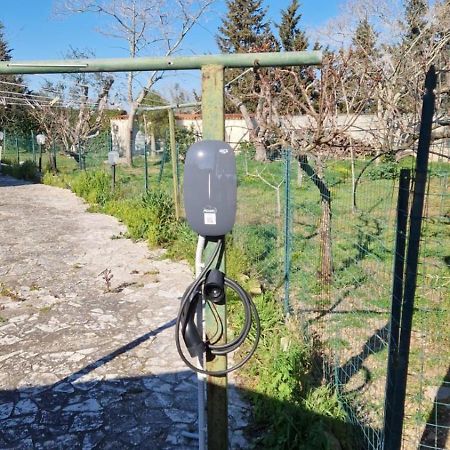 B&B Quattrostelle Cavallino di Lecce Dış mekan fotoğraf